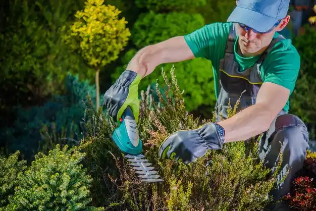 landscaping services Glen Park